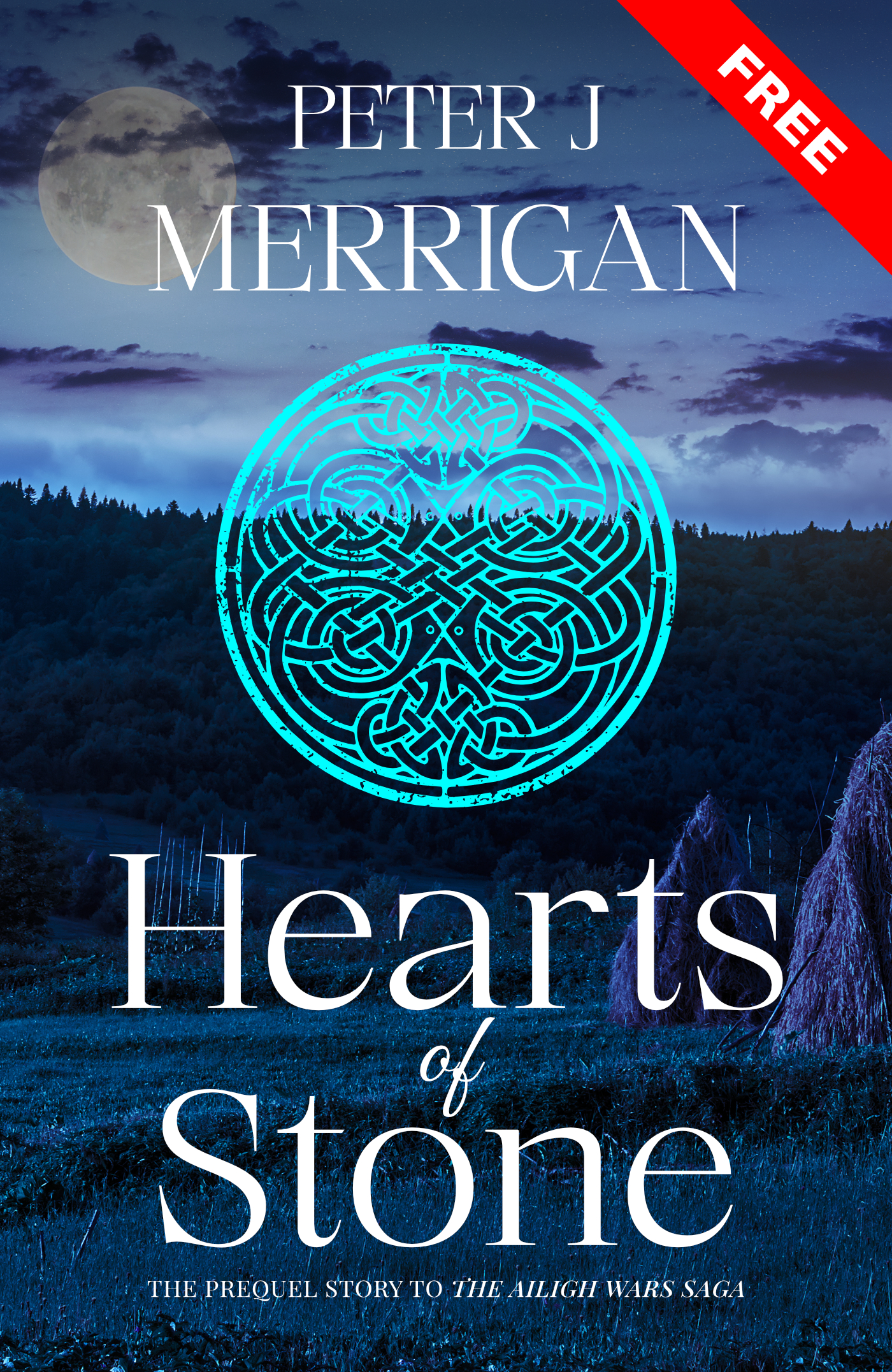 Hearts of Stone book cover