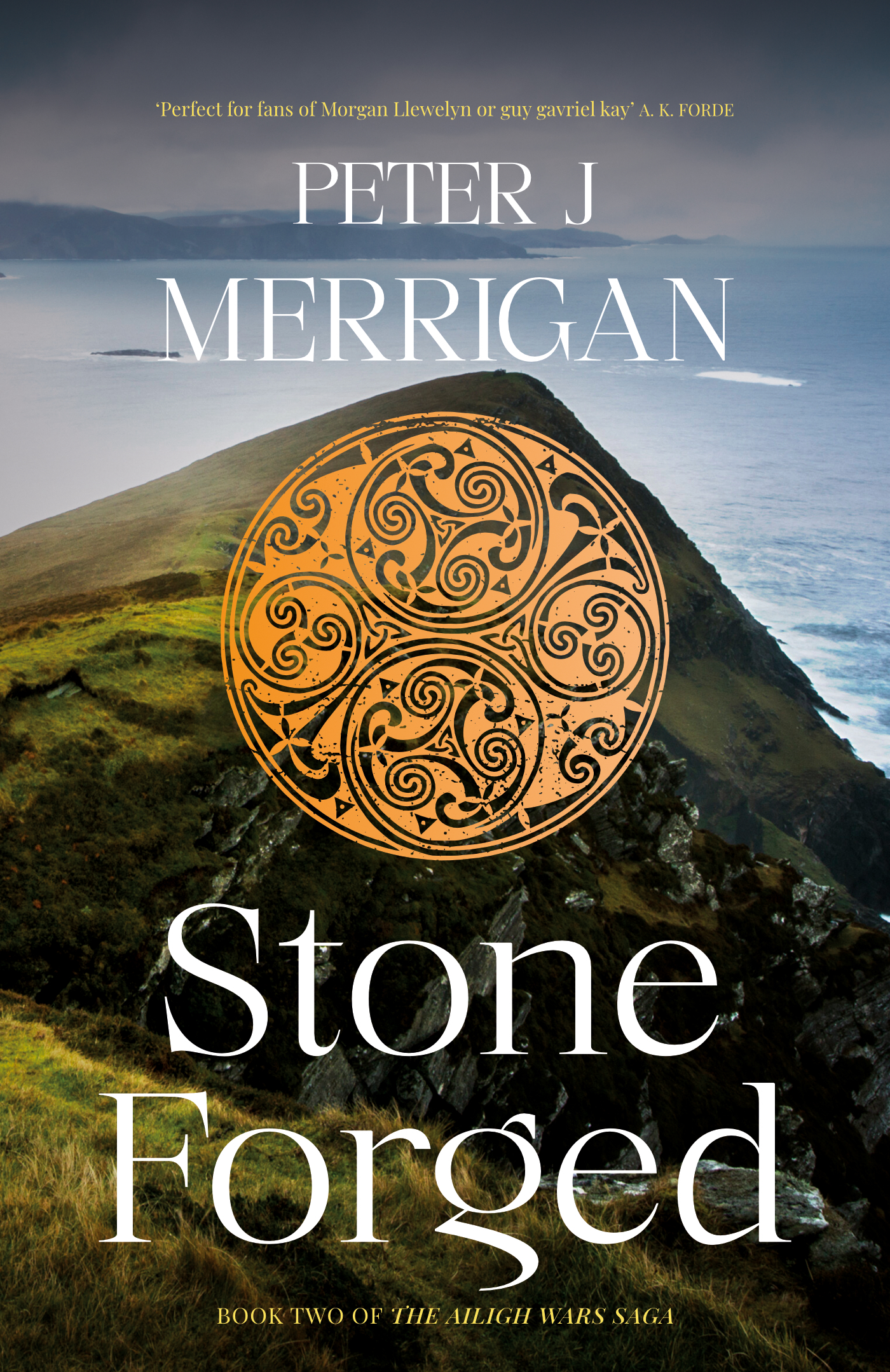 Stone Forged book cover